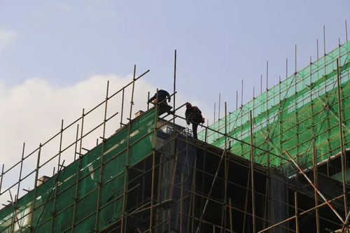 嘉澤 陽光天地丨辛苦了,建筑工人們 內附最新工程進度